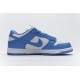 Nike Dunk Low SP White Blue DD1391-400