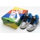 Instant Skateboards x Nike SB Dunk Low Blue Grey CZ5128-400