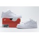 Nike SB Dunk Low Pro "White Out" All White 304292-100