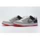 Nike SB Dunk Low Pro "ISO Infared" Gray Black CD2563-004