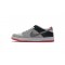 Nike SB Dunk Low Pro "ISO Infared" Gray Black CD2563-004