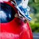 A Bathing Ape Sk8 Low Ltblue White Women Men Sneaker